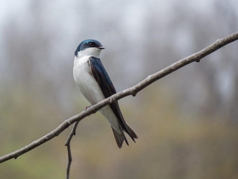 size guide for women’s jeans