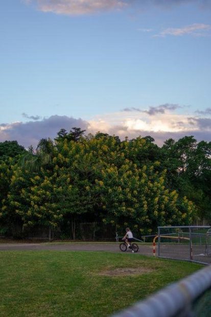 pupil free days qld 2024 pdf